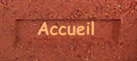 brique foncée accueil